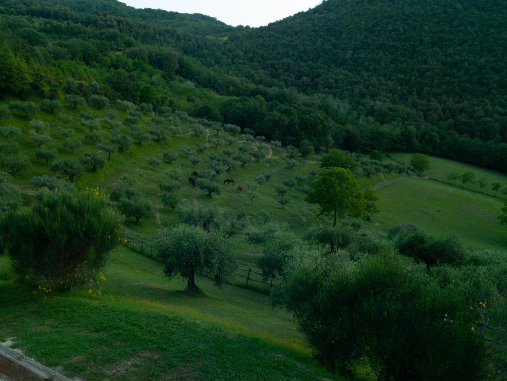 Agriturismo La Fonte Perugia Exteriör bild